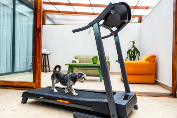 Cost of Treadmill Installation in Jonesboro