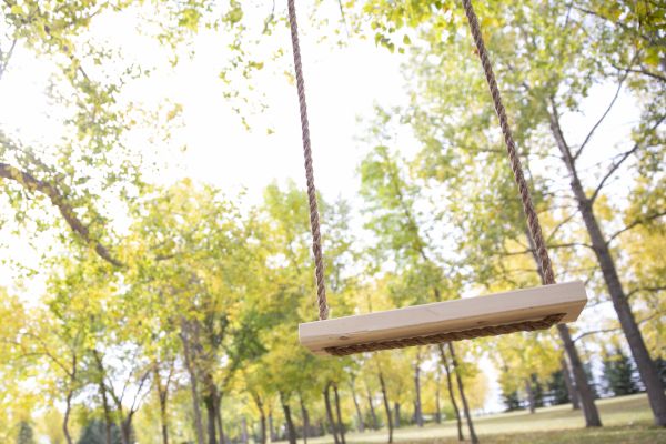 Cost of Tree Swing Installation in Jonesboro