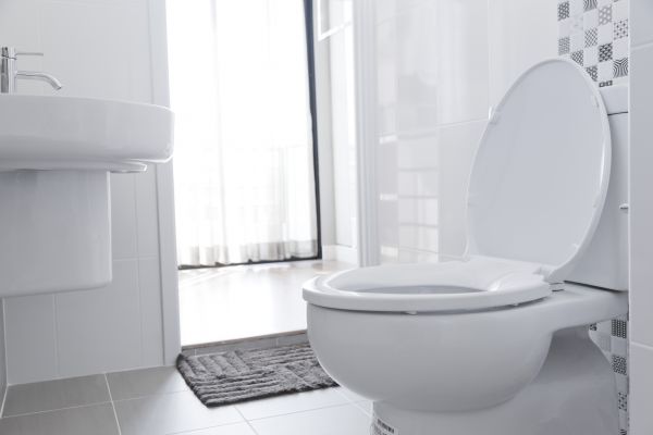 Cost of Toilet Seat Installation in Jonesboro