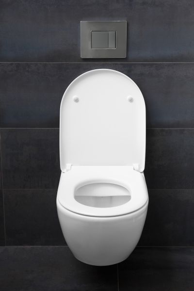 Cost of Toilet Lid Installation in Jonesboro