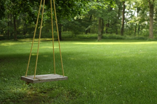 Cost of Rope Swing Installation in Jonesboro