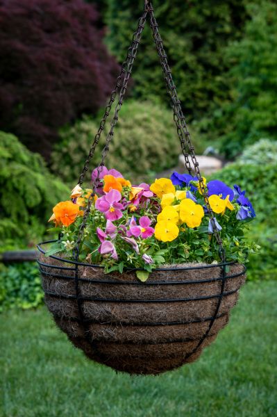 Cost of Hanging Basket Installation in Jonesboro