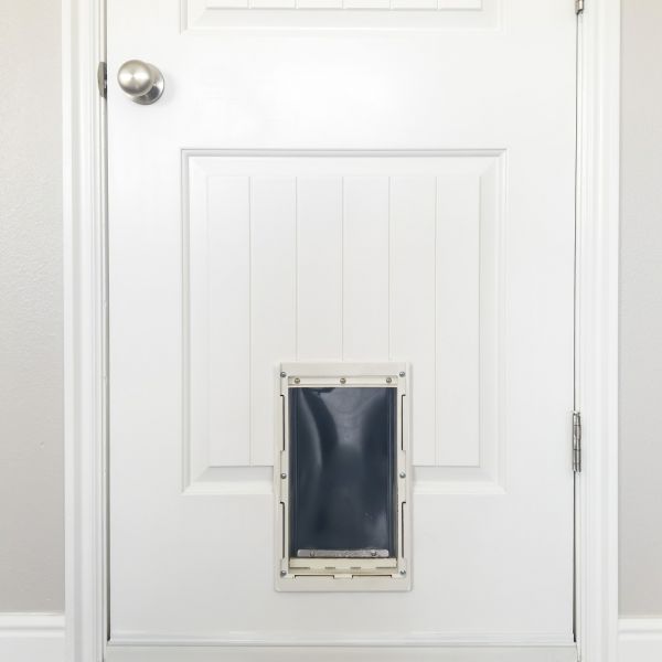 Cost of Pet Door Repair in Jonesboro