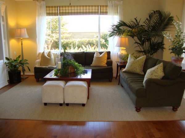 Cost of Valance Rod Installation in Jonesboro