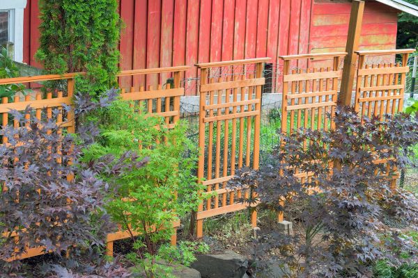 Wood Trellis Mounting in Jonesboro