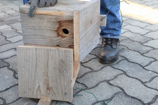 Cost of Birdhouse Mounting in Jonesboro