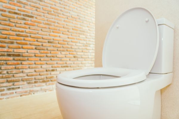 Cost of Toilet Seat Repair in Jonesboro
